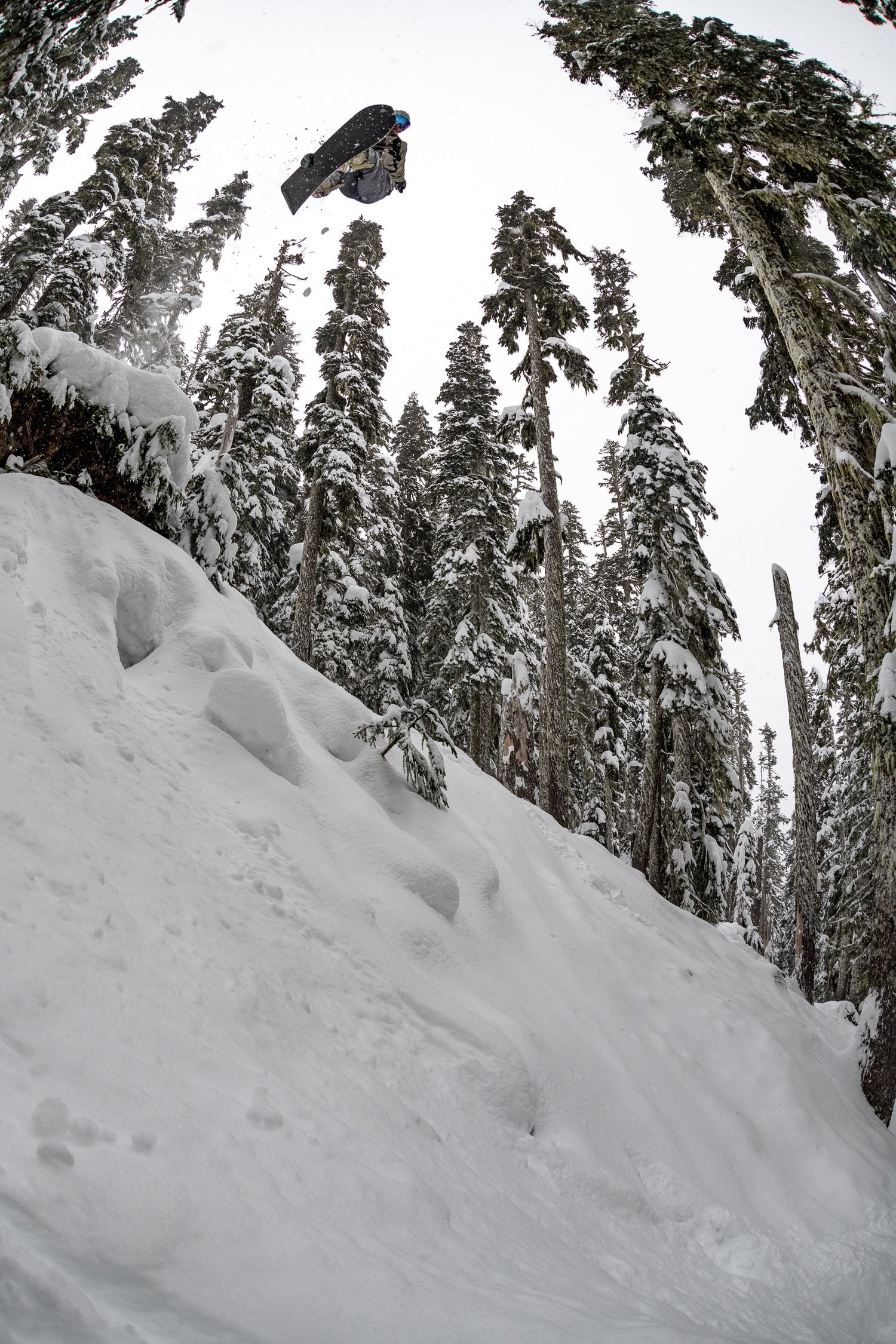 Versatile and performs in all variety of terrains.